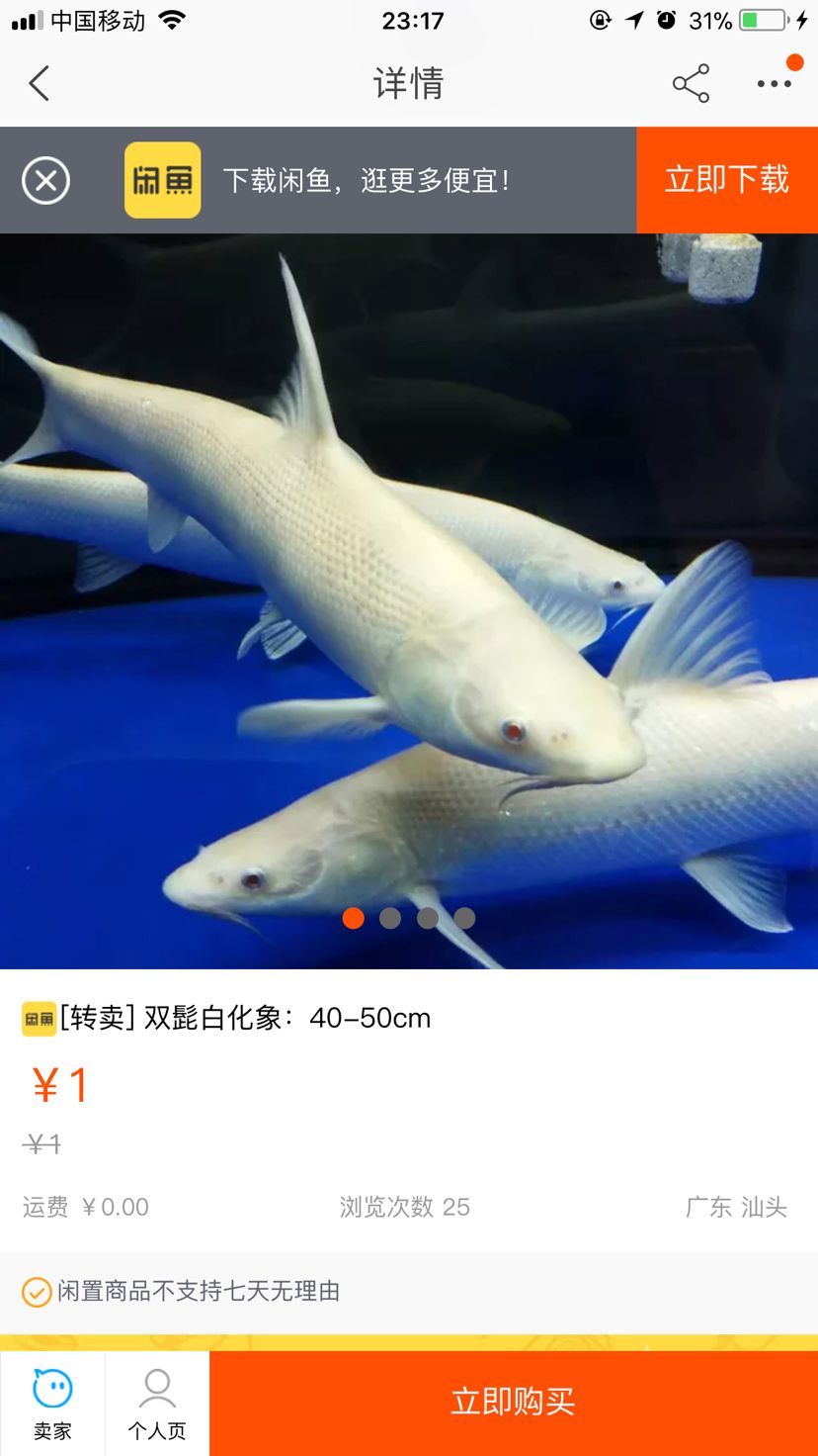 滁州水族馆谁知道这个鱼是什么鱼呀