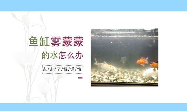 汉得利（常州）电子股份有限公司（汉得利(常州)电子股份有限公司）