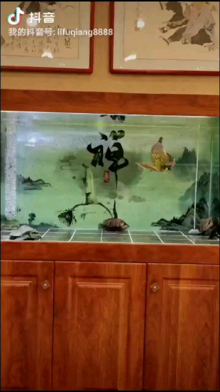 林芝水族馆认真做事好好养鱼