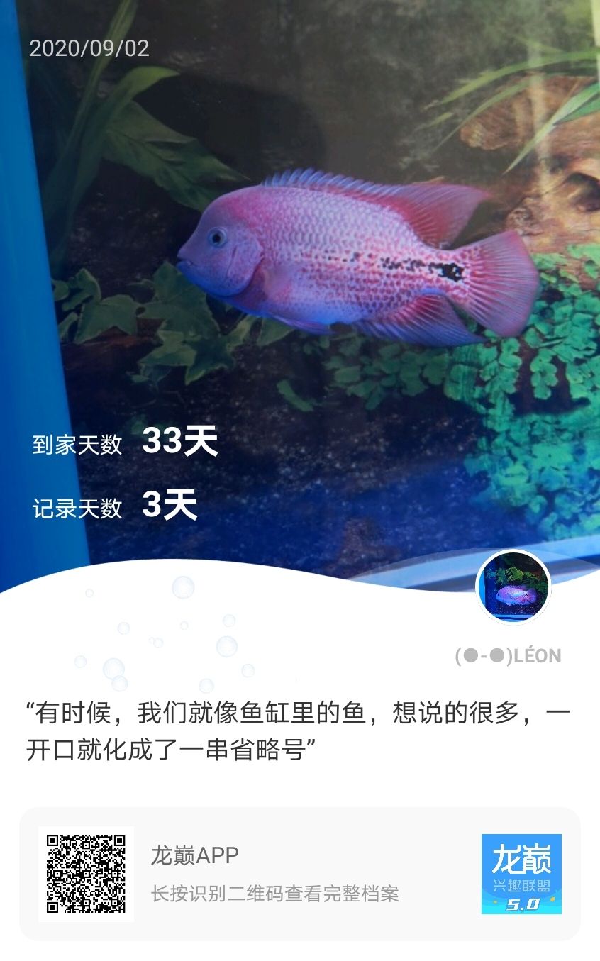 一个月记录 鱼缸等水族设备 第2张