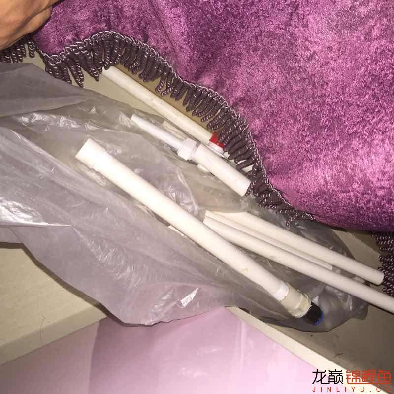 昨晚惊吓不小啊 海象鱼 第5张