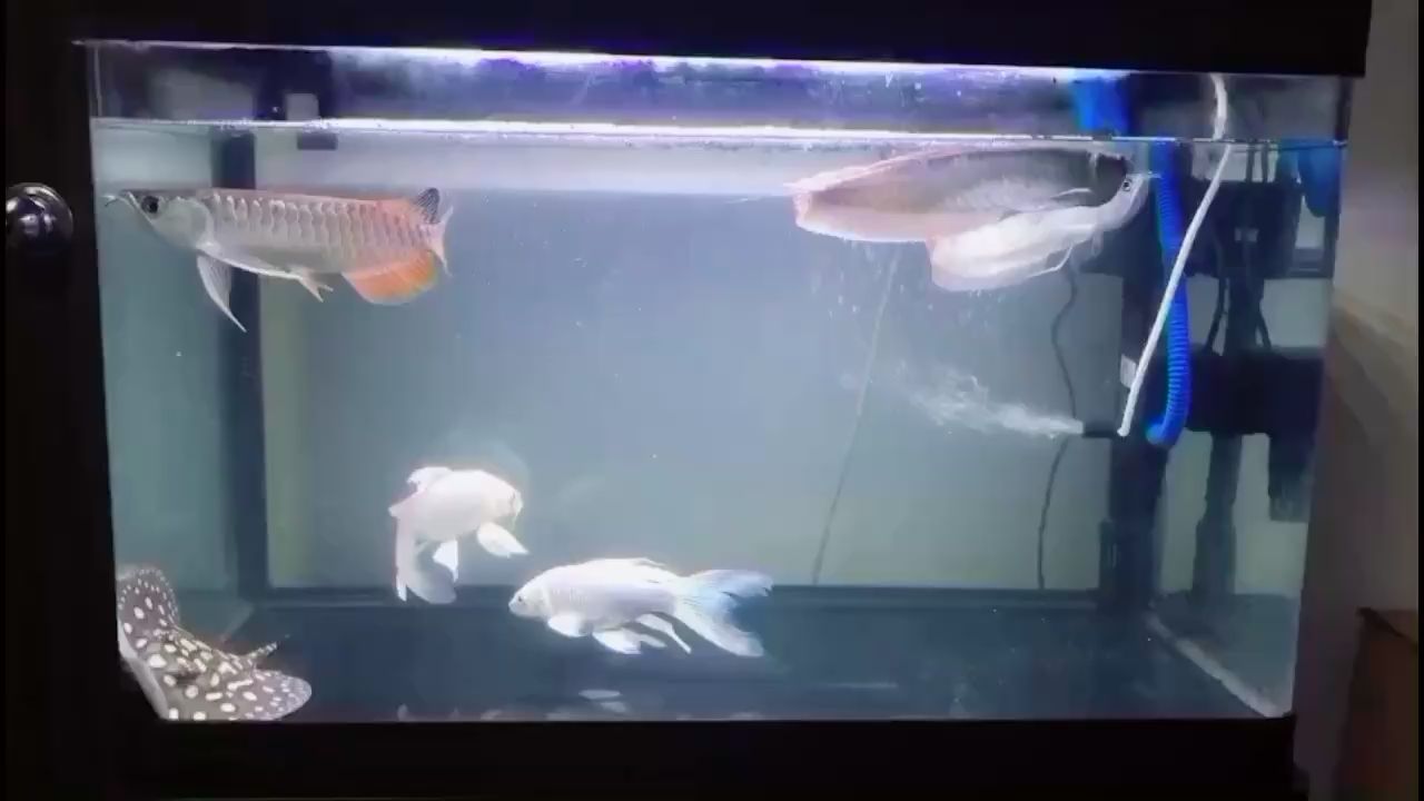 宁波水族馆新手上路練練手