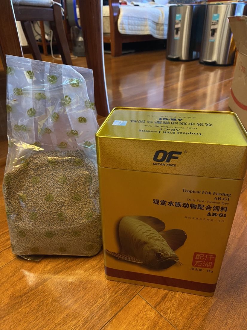 龙鱼不吃饲料只爱小草金