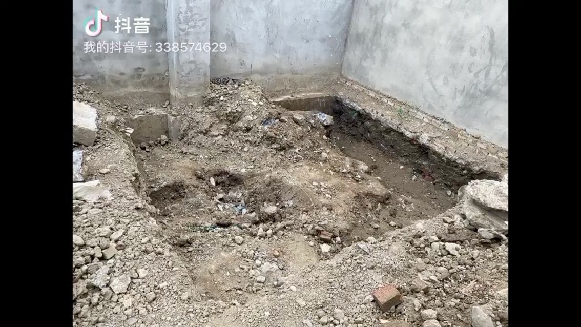 乌海观赏鱼市场渐入状态 观赏鱼市场（混养鱼） 第2张