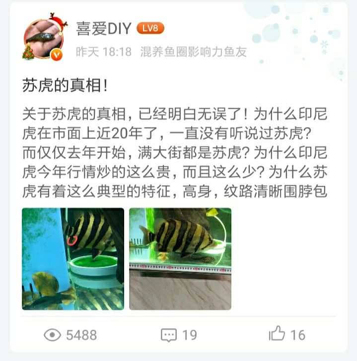 吕梁观赏鱼市场我就是来单纯支持我喜爱兄的