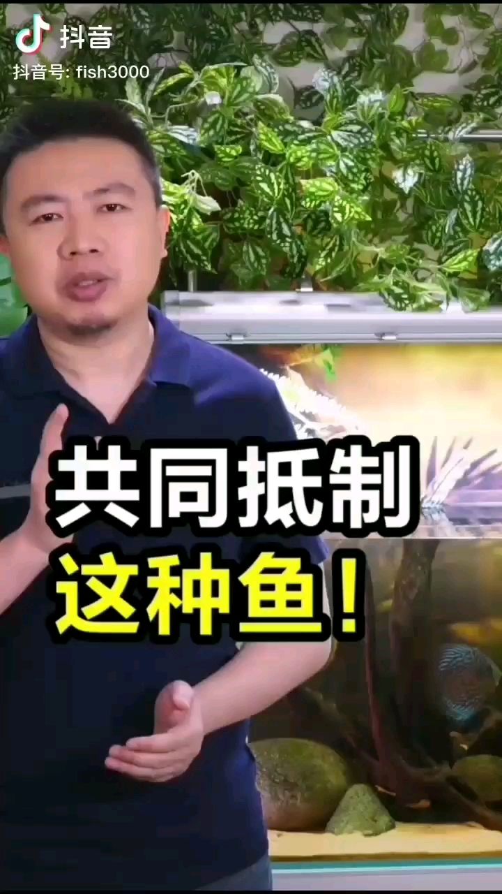 说得好说的对 鱼缸等水族设备 第2张