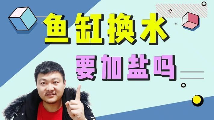 金龙鱼缸加盐吗？（金龙鱼缸中加盐取决于多种因素，金龙鱼盐浴后如何清洗） 龙鱼百科 第3张