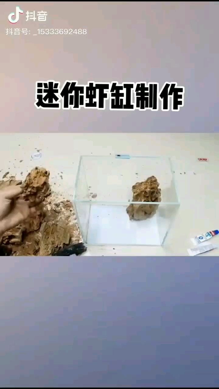 果然还是要靠技术 B级过背金龙鱼 第2张