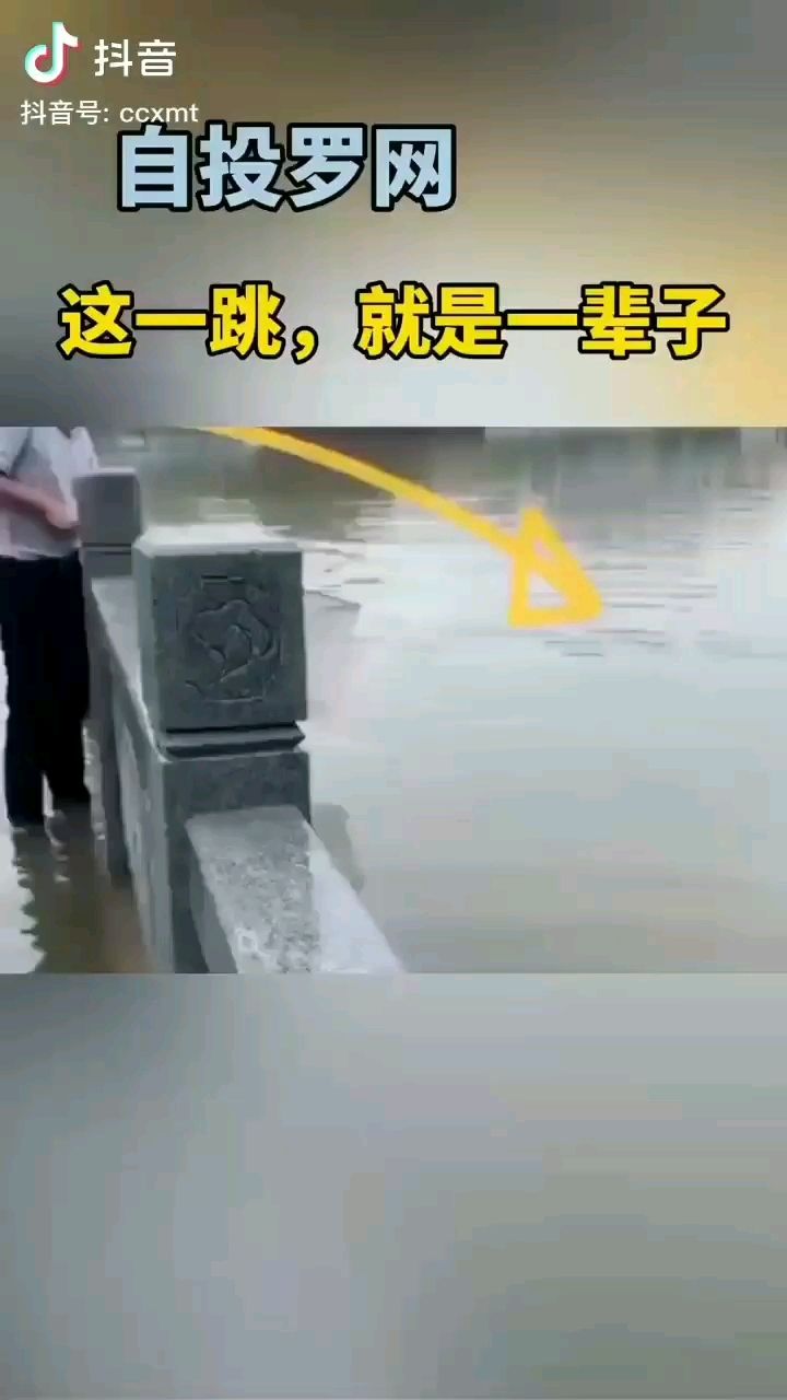 湘潭观赏鱼市场这是不想活了的节奏吧