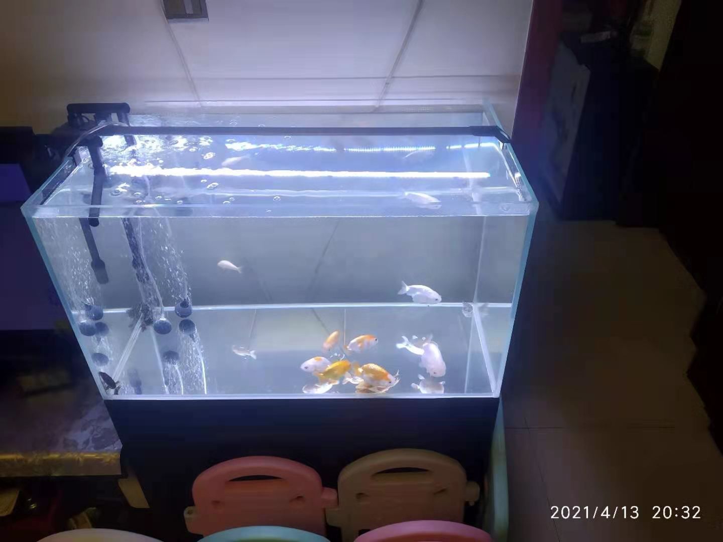 哈尔滨水族馆80x45x45鱼缸的问题