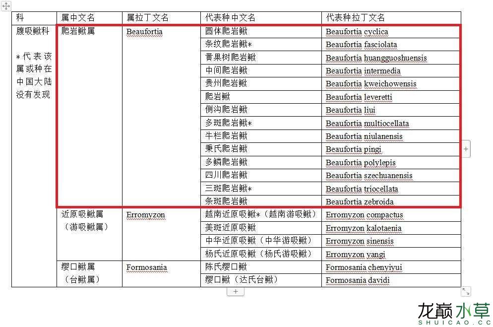 南昌水族馆腹吸鳅科爬岩鳅属鱼类汇总