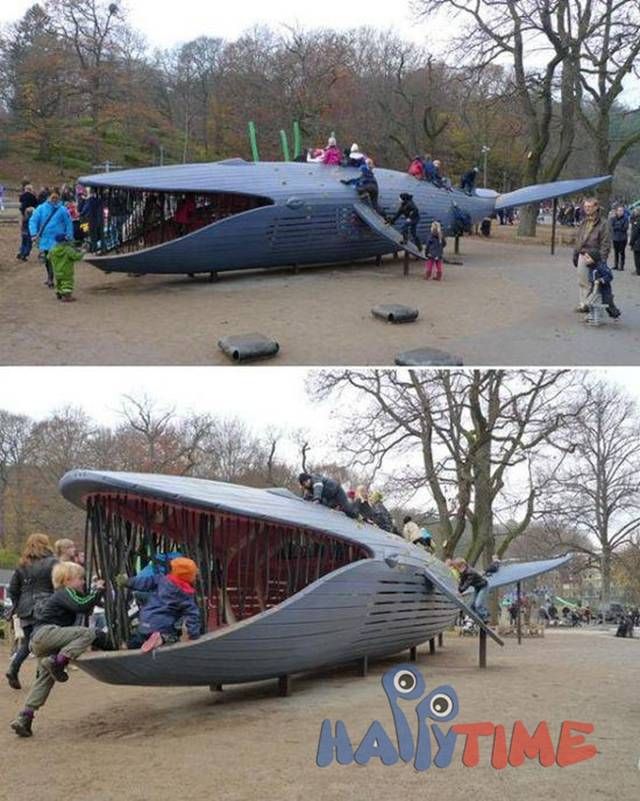 定西水族馆准备试水