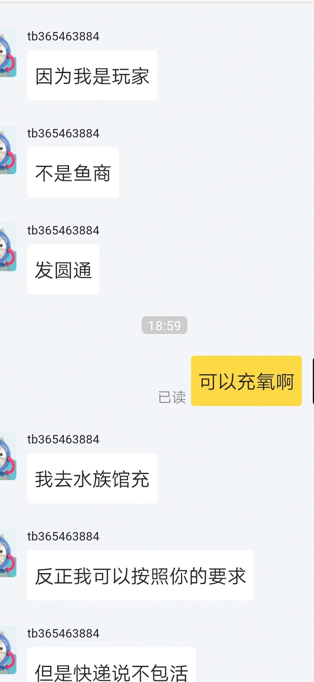 请教养过成吉思汗鲨的朋友几个问题