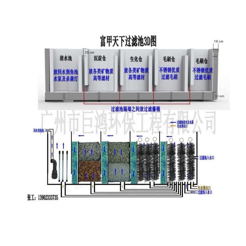 讲述一个中毒造池养锦鲤的故事2