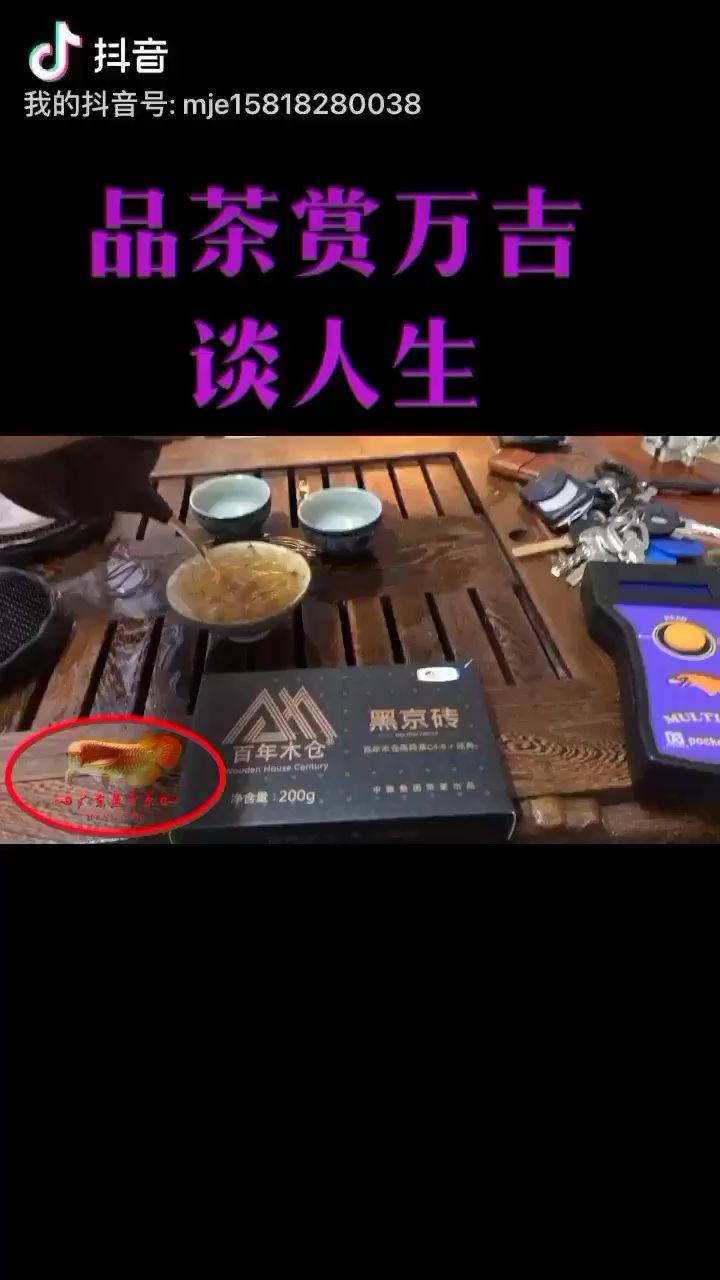 品茶赏鱼心静如水 红龙专用鱼粮饲料 第2张