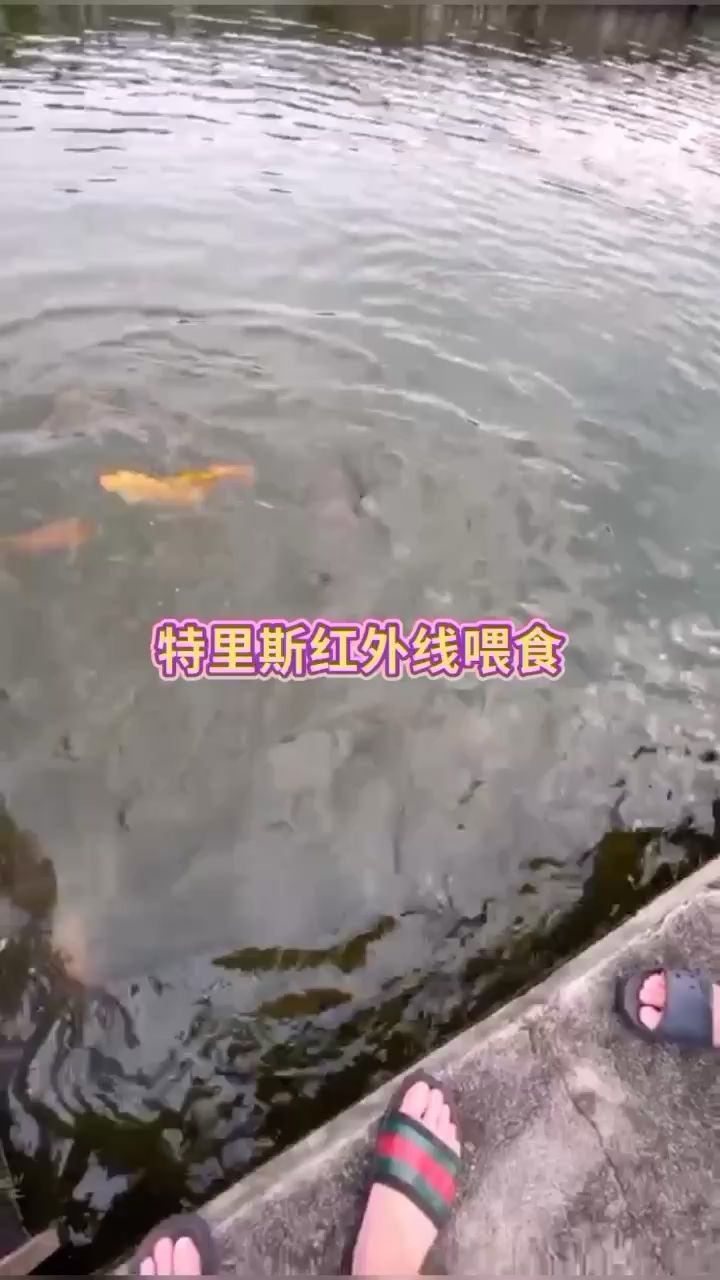 丽水水族馆特里斯红外线