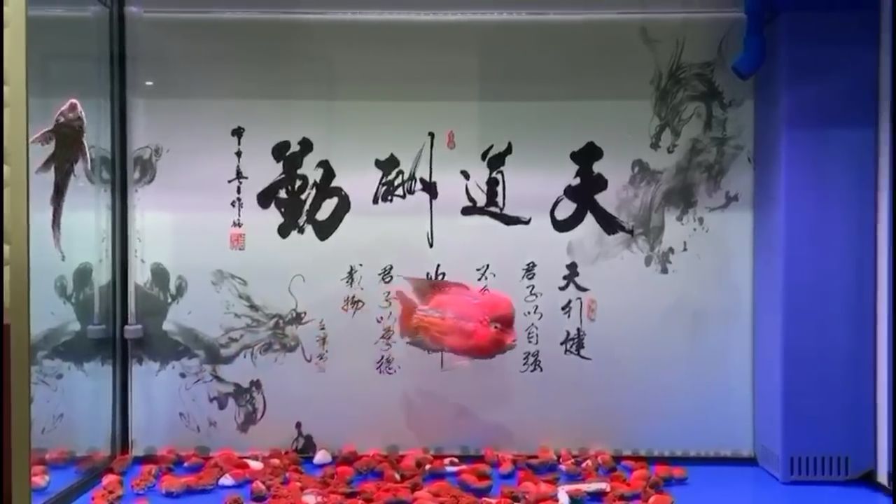 小幻入缸第七十八天X档案九