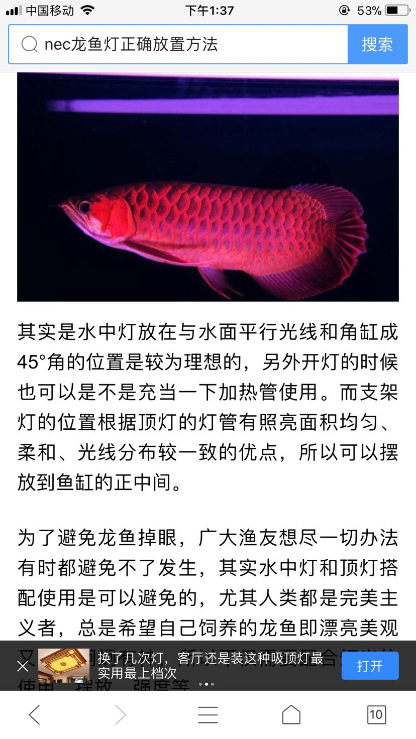 红龙鱼顶灯一白一红可以吗