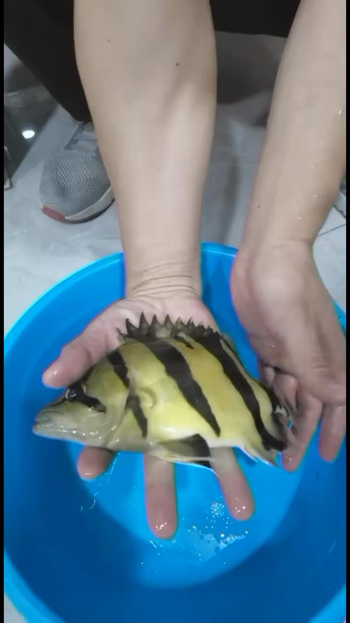 深圳水族馆杂七杂八还不是穷