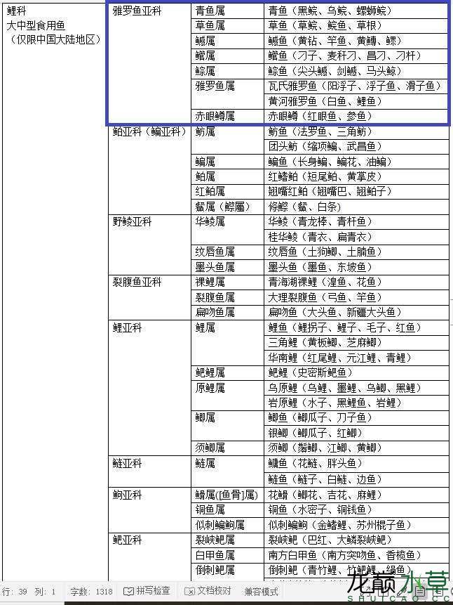 大陆地区鲤科原生鱼之雅罗鱼亚科篇 蓝帆三间鱼 第5张