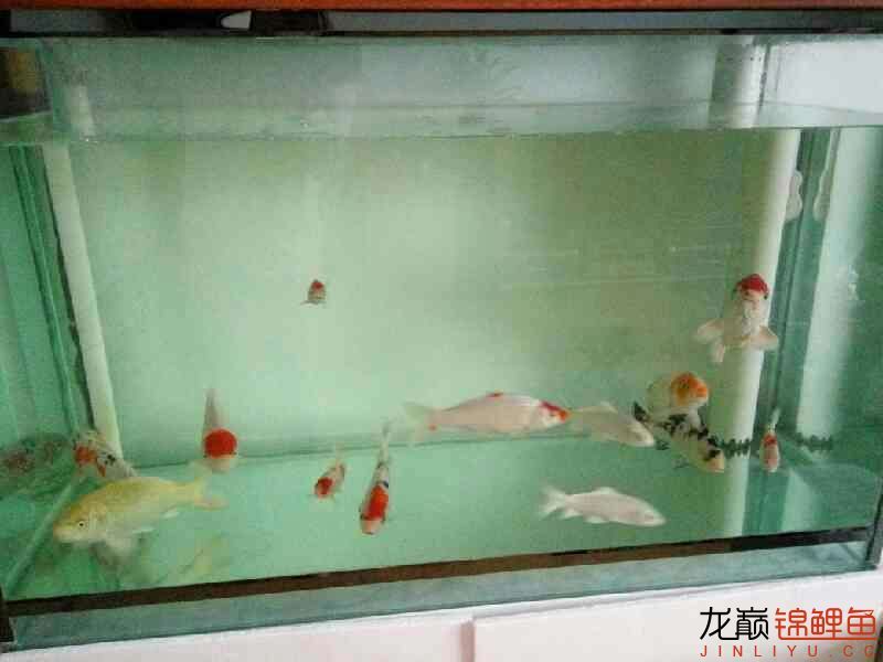 沈阳水族馆养鱼的快乐