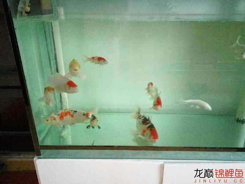 沈阳水族馆养鱼的快乐