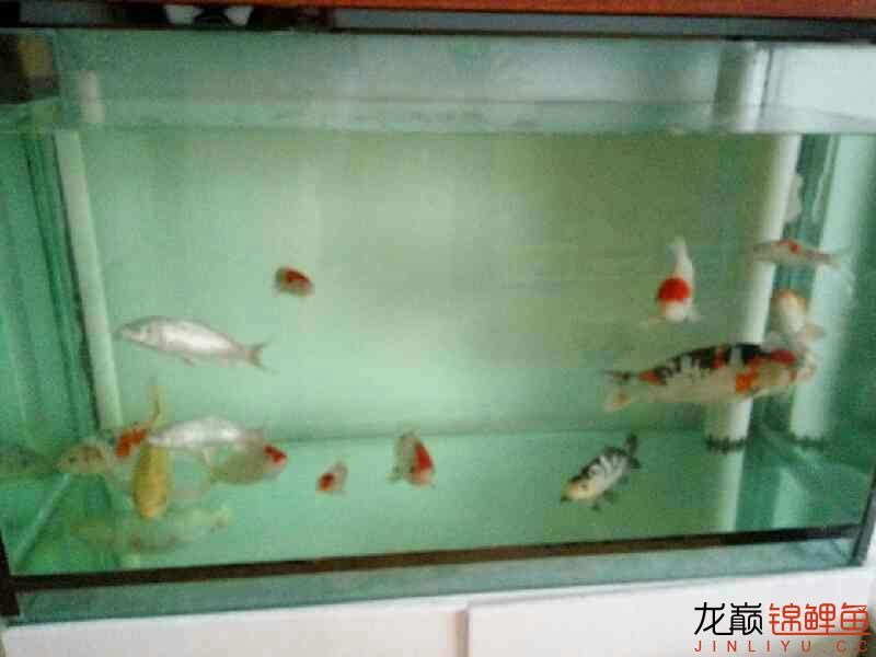 沈阳水族馆养鱼的快乐