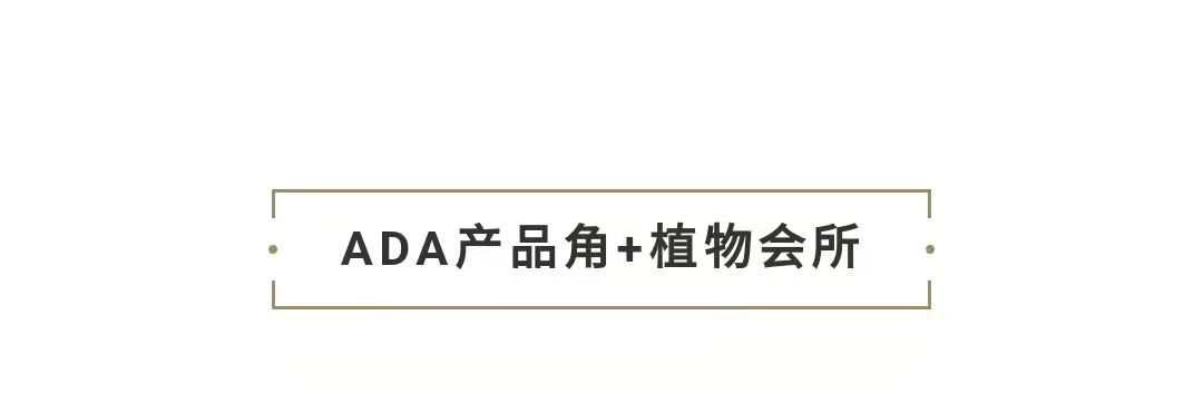 百城探店三｜池野•自然艺术生活家 一眉道人鱼 第36张