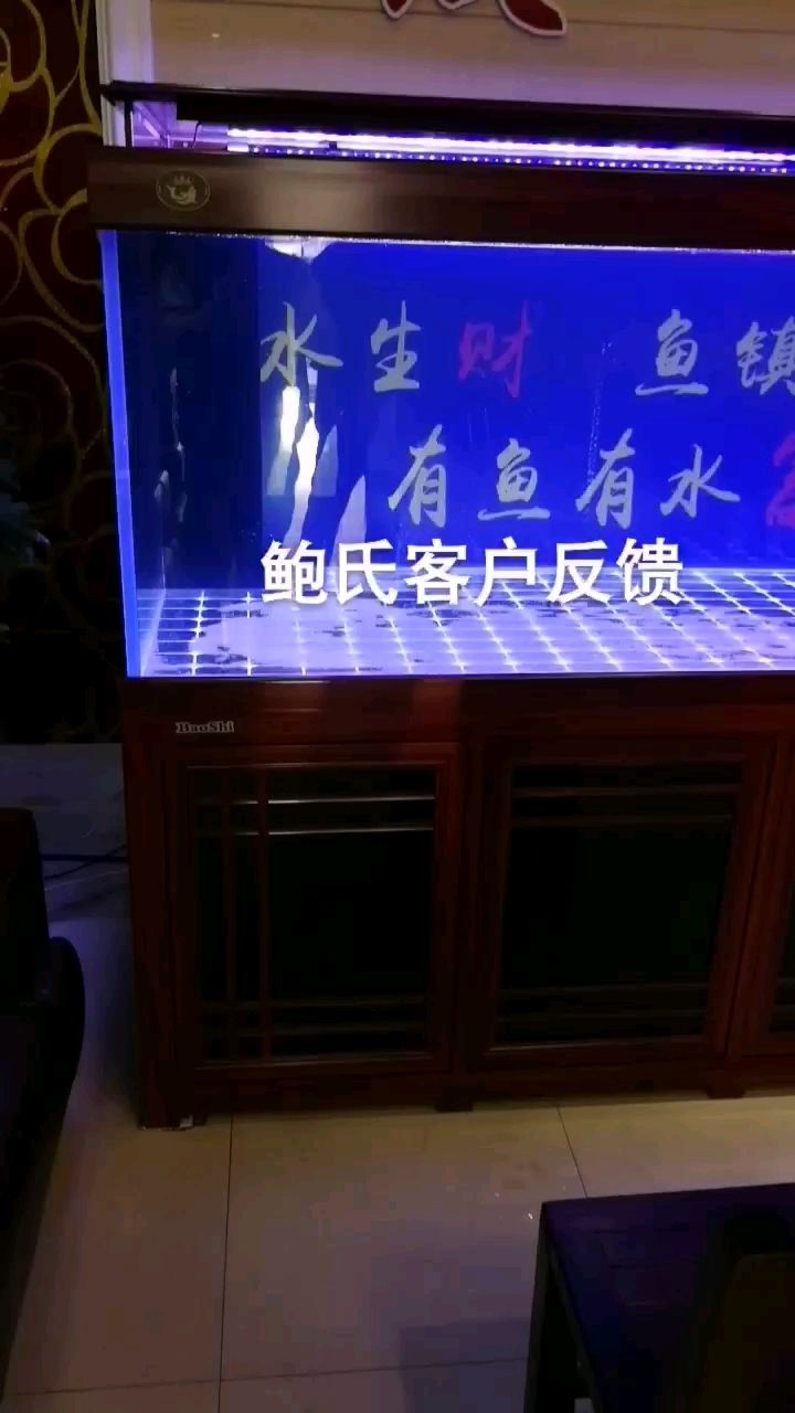 水族箱无小事