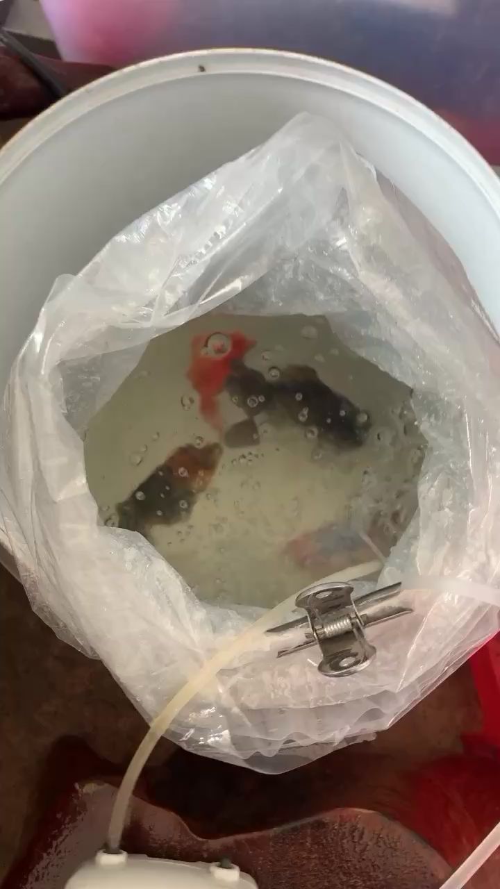 阜阳水族馆新手入坑多多关照