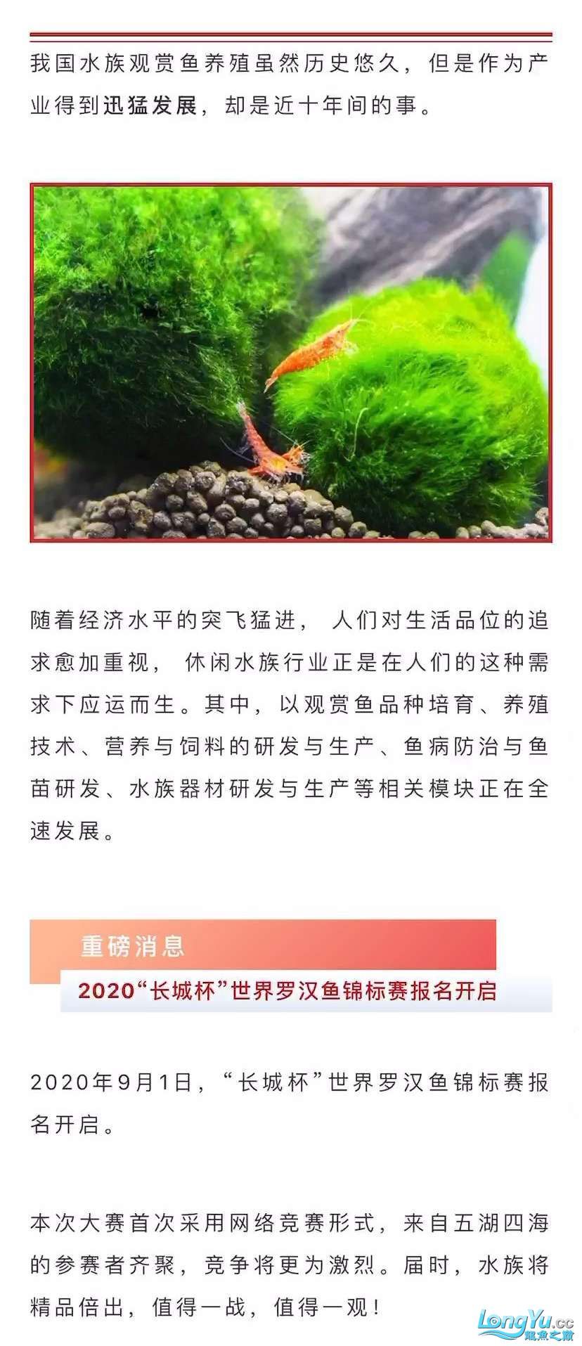 本溪观赏鱼市场深耕行业24年全球水族行业的重要贸易平台—CIPS长城水族