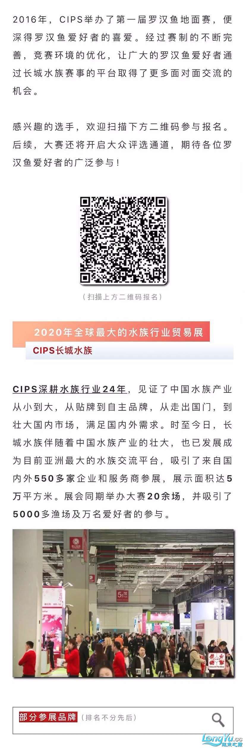 本溪观赏鱼市场深耕行业24年全球水族行业的重要贸易平台—CIPS长城水族