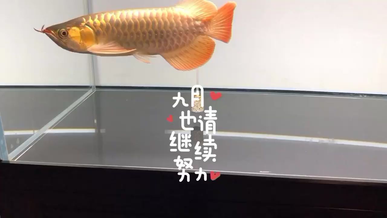 炎热夏季即将结束