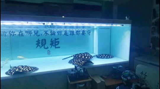 克孜勒苏柯尔克孜自治州水族馆细说过滤