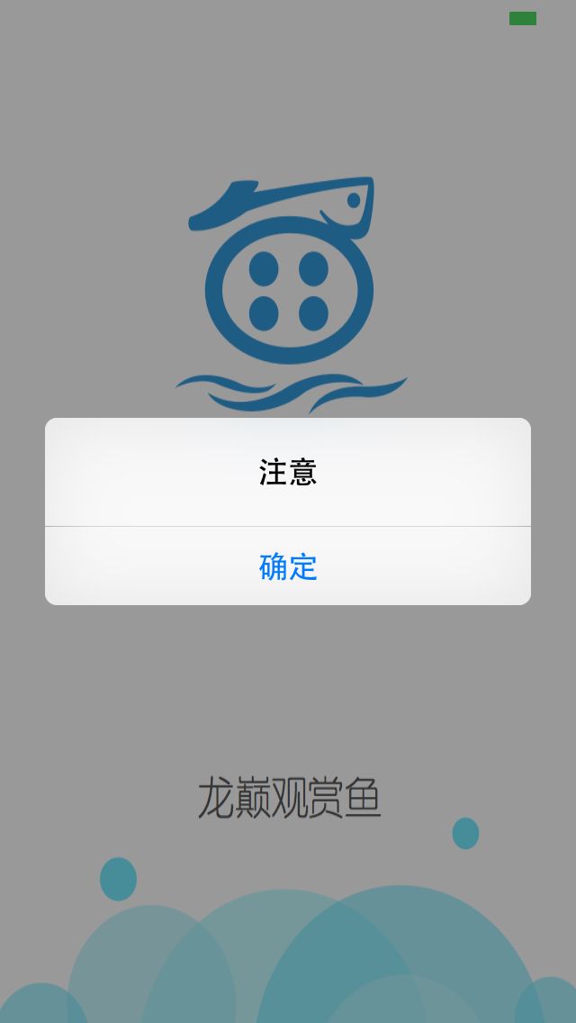 app打不开