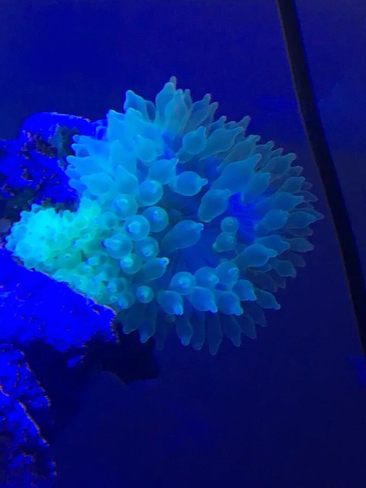 百色水族馆骗分咯