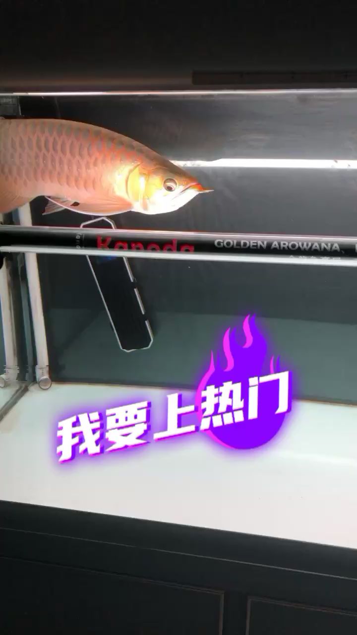 青岛水族馆侧灯搞起