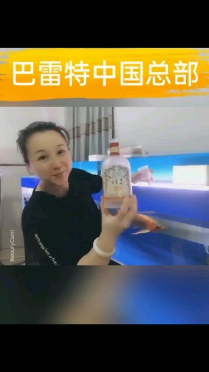 CIPS长城杯金龙组冠军鱼