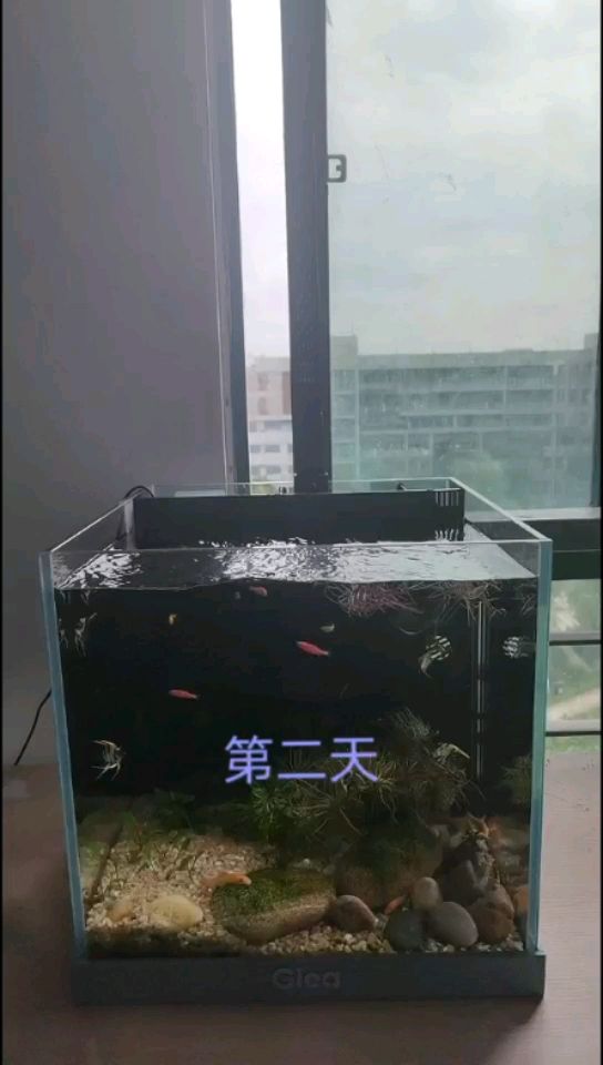 怀化水族馆第二天