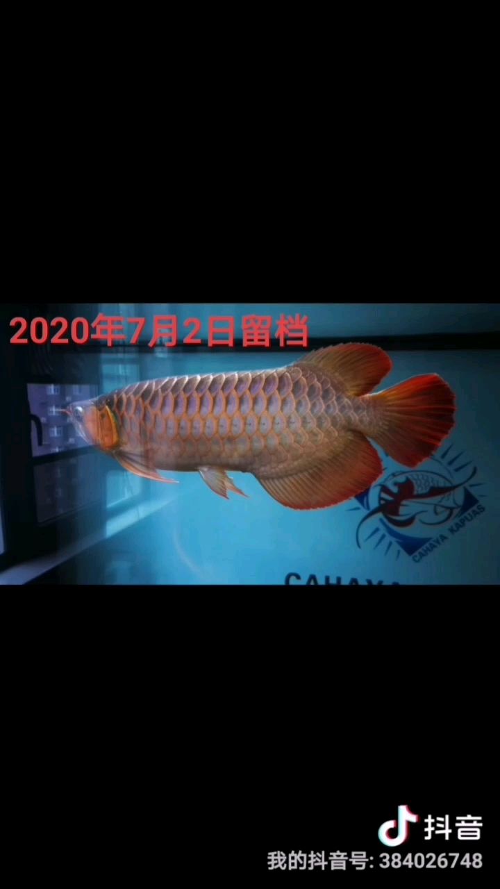 2022年7月留档