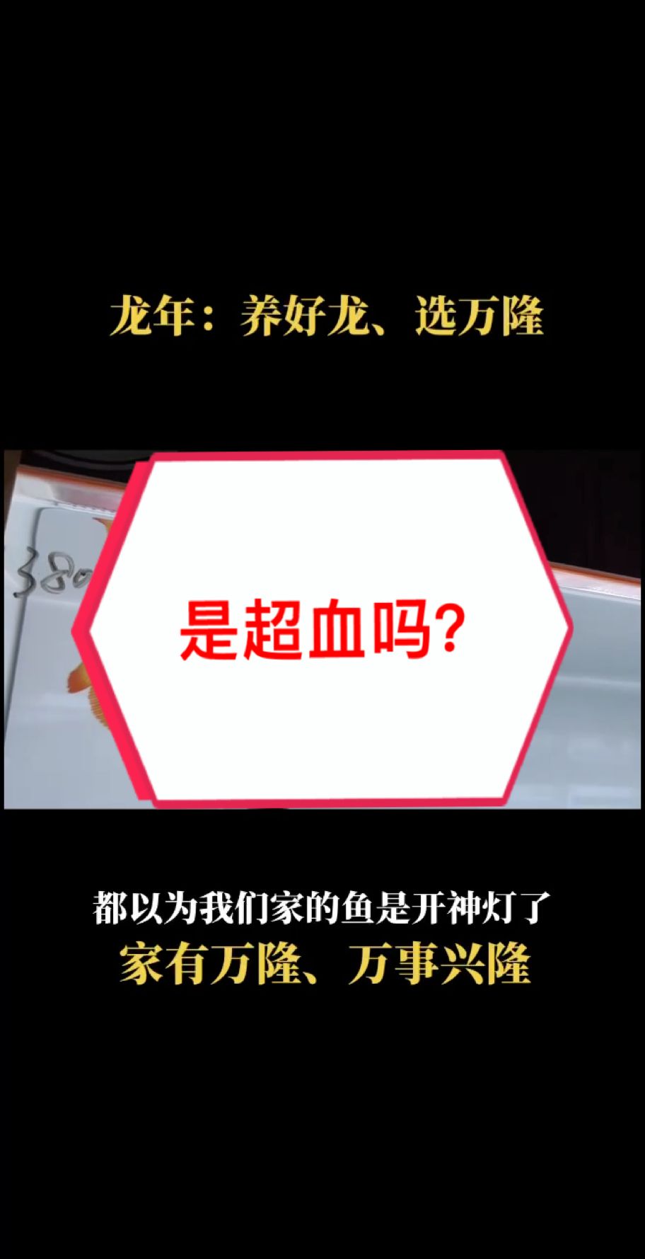 白缸白灯，苹果自带原相机表现。
好鱼不需要神灯，自然美❤️（好鱼不需要神灯，自然美）