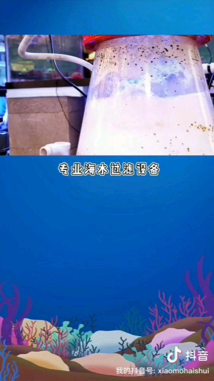 乐山水族馆海水第三课