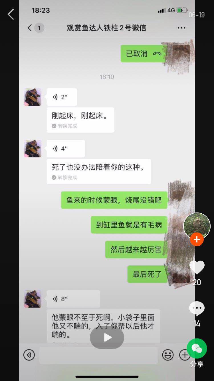 全网爆光还鱼友们的个公道