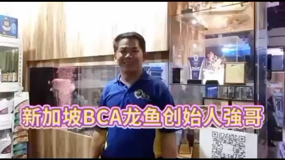 BCA红龙创始人叶志强先生