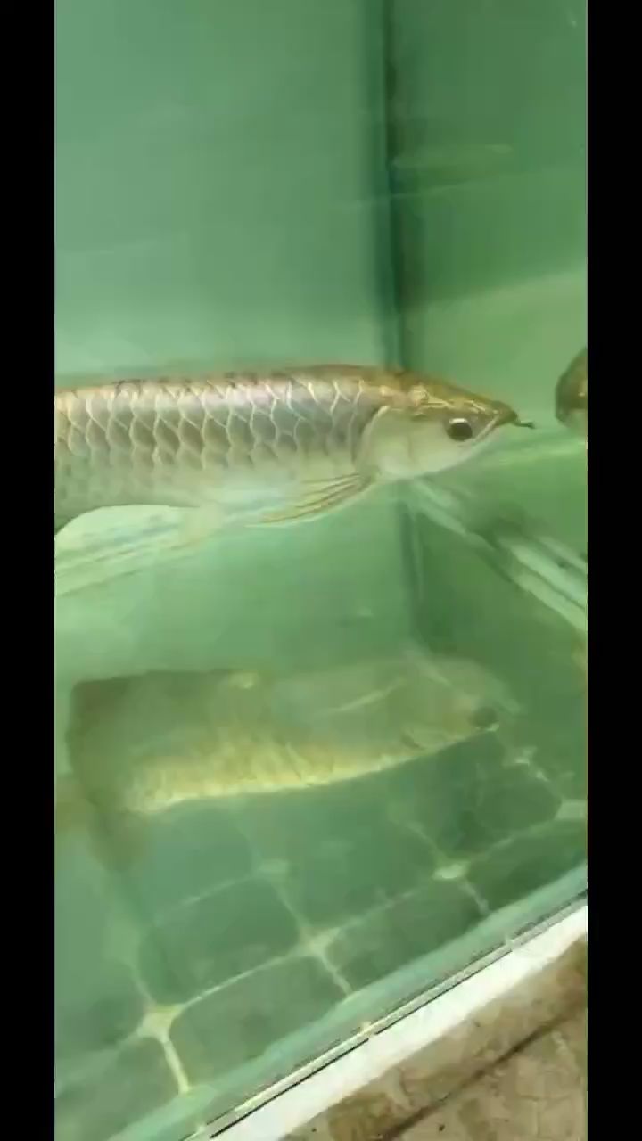 漯河水族馆拿下