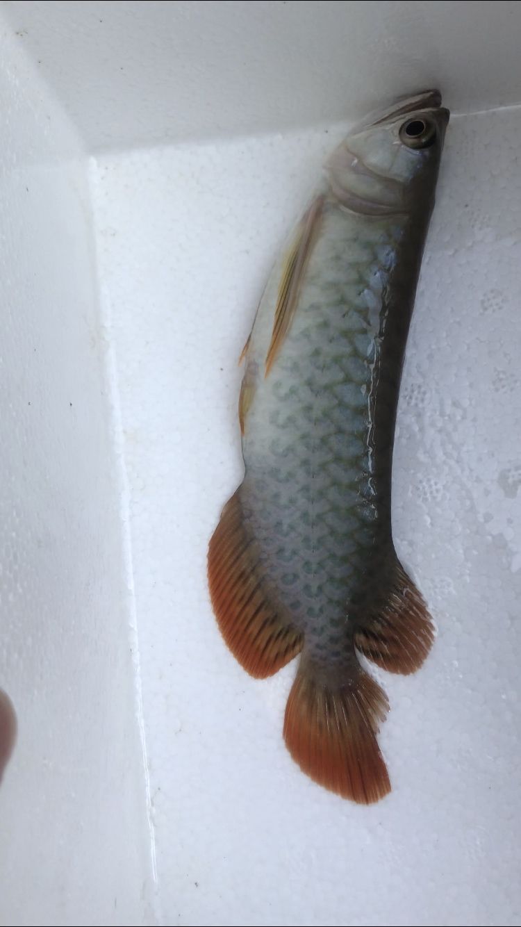 晋城水族馆自杀