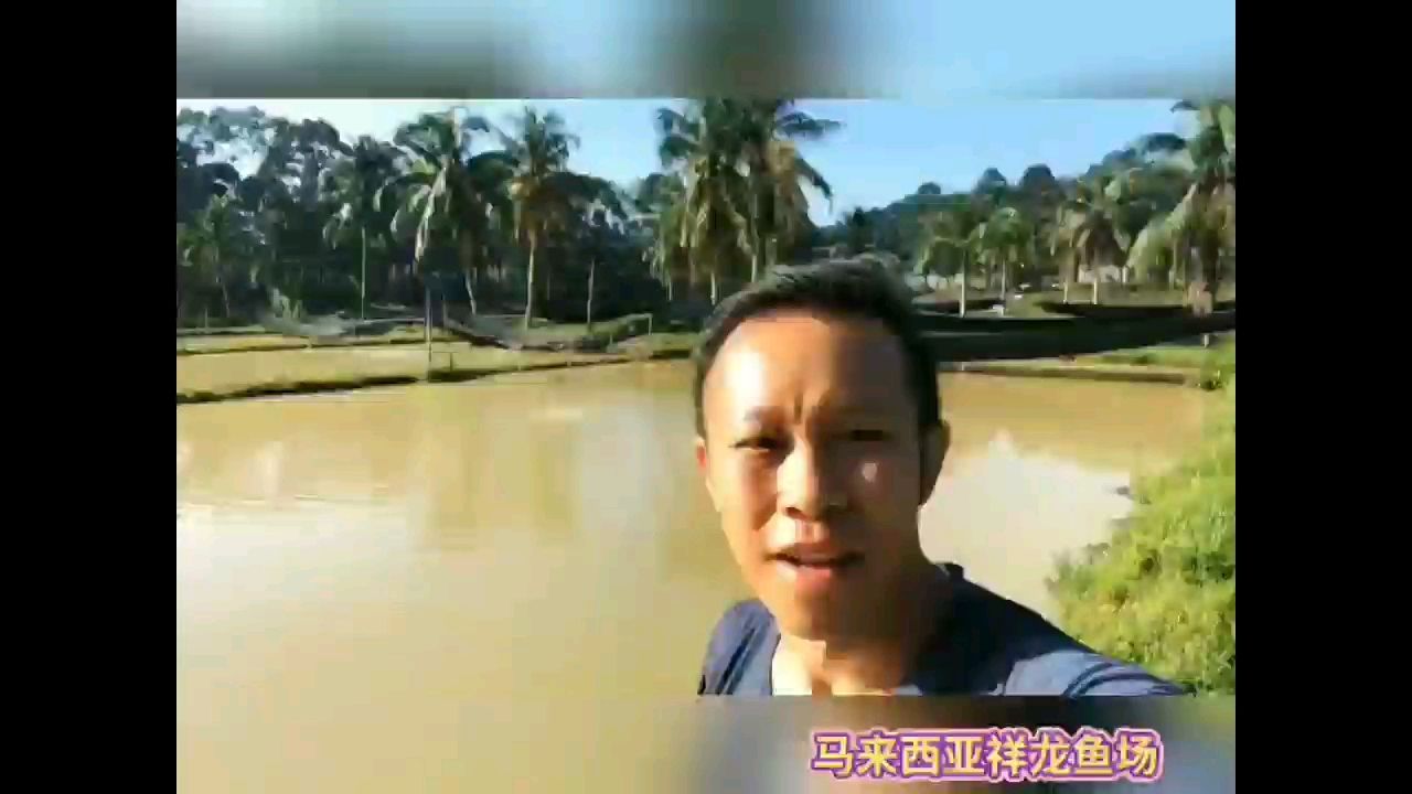 大boss亲自陪客户下塘捞鱼