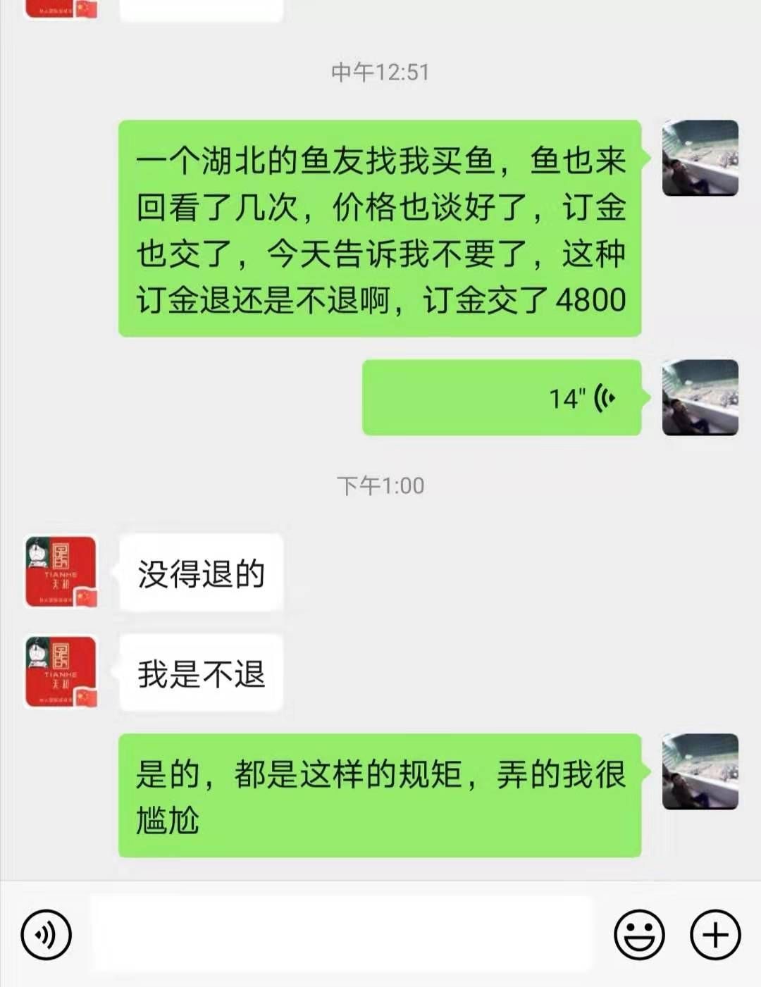 这就是所谓的天和的规矩买鱼的鱼友们看看