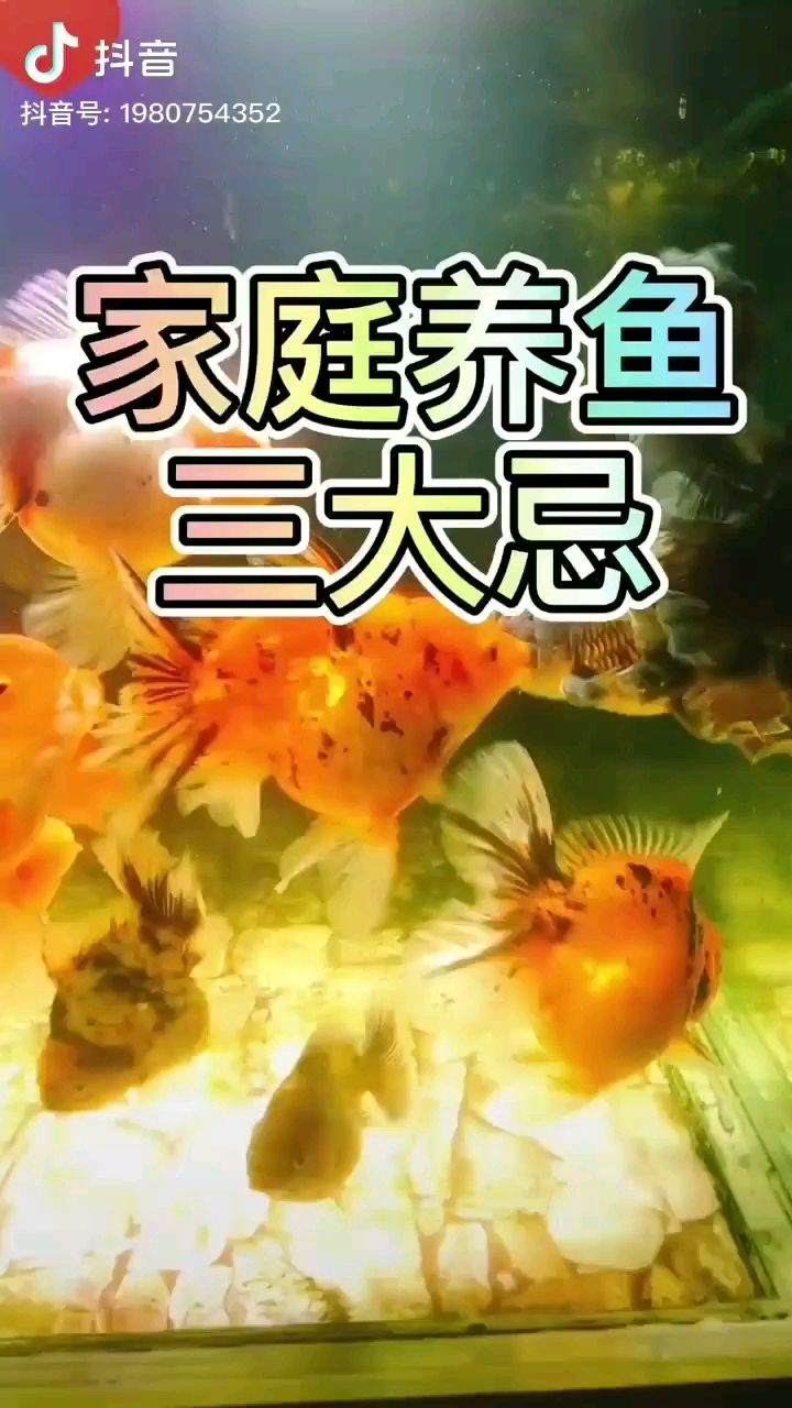 家庭养鱼三大忌