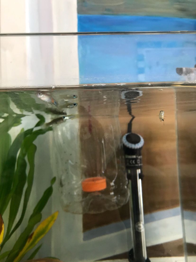 荆门水族馆Diy设计